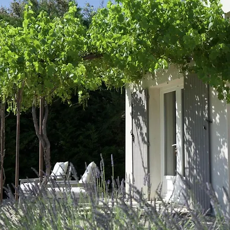 Bed & Breakfast La Bastide Au Ventoux *