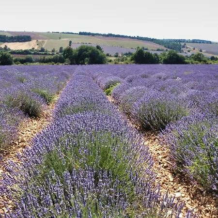 Bed & Breakfast La Bastide Au Ventoux Bedoin