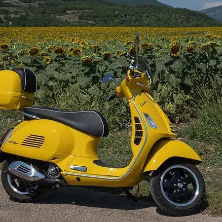 La Bastide Au Ventoux * Bedoin